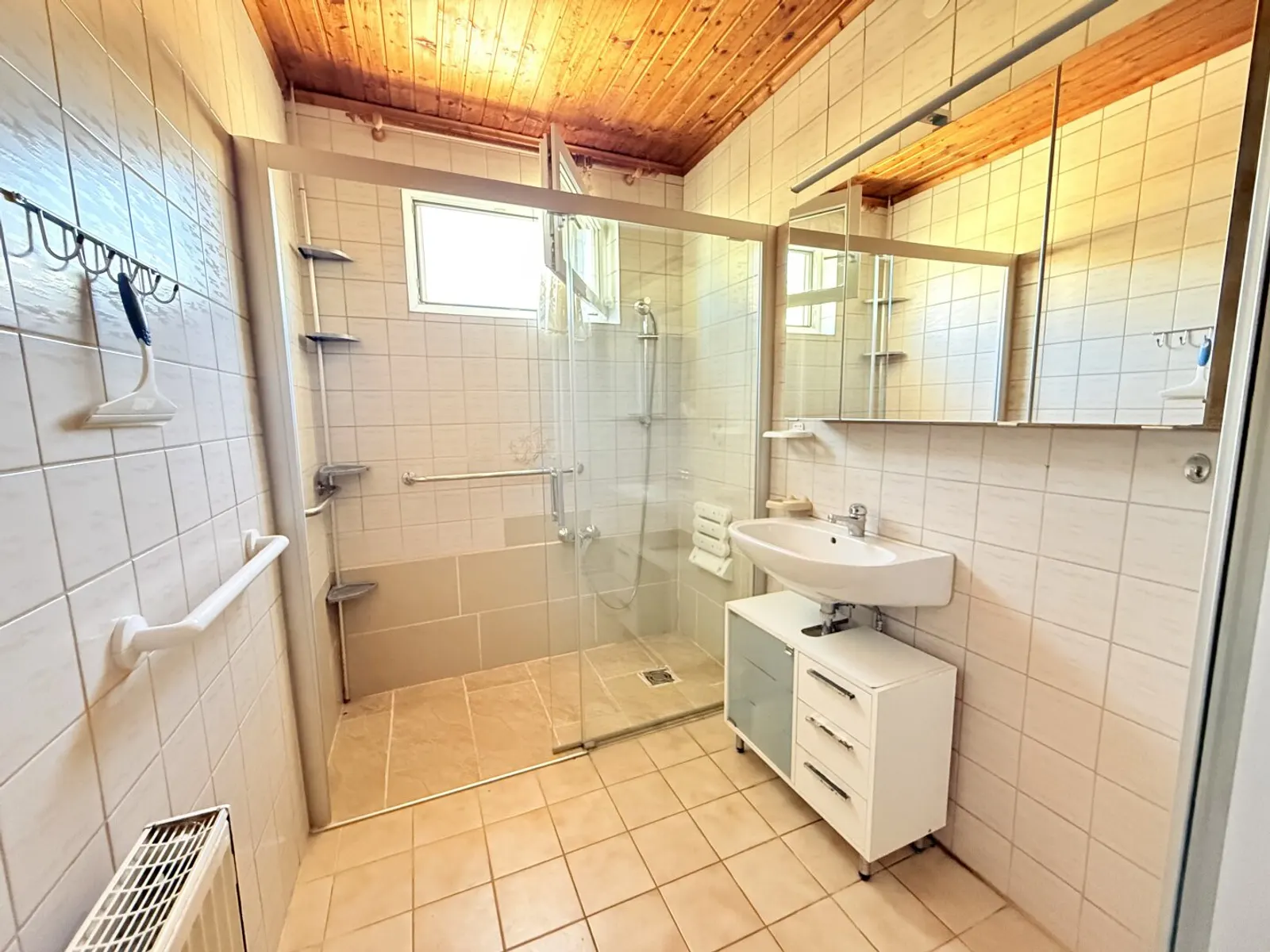Between vineyards and Lake Neusiedl - spacious house with 2 residential units, inner courtyard and lots of usable space - 8/8